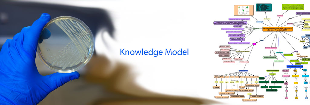Knowledge Model of Microorganisms